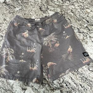 Ripcurl Flamingo Print Men's Swim Shorts